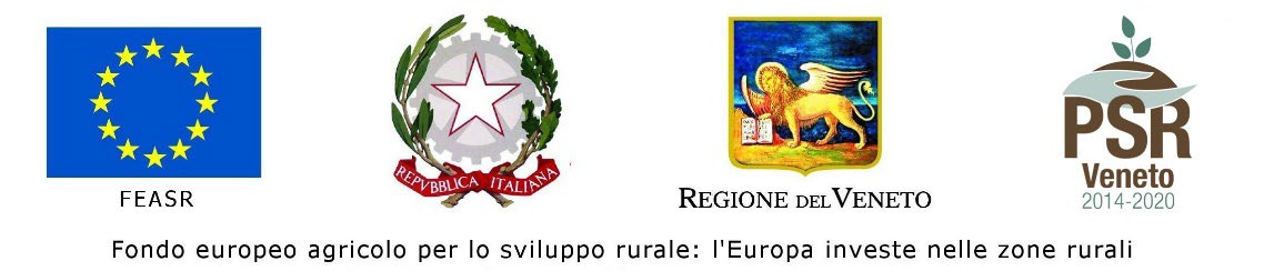 Unione Europea FEASR, Repubblica Italiana, Regione del Veneto, PSR Veneto 2014-2020
